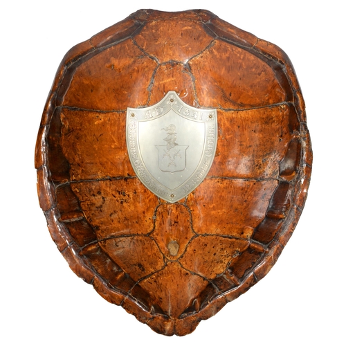 Natural history A turtle carapace 3af36c