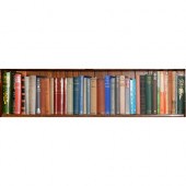 Books. Twelves shelves of general stock,