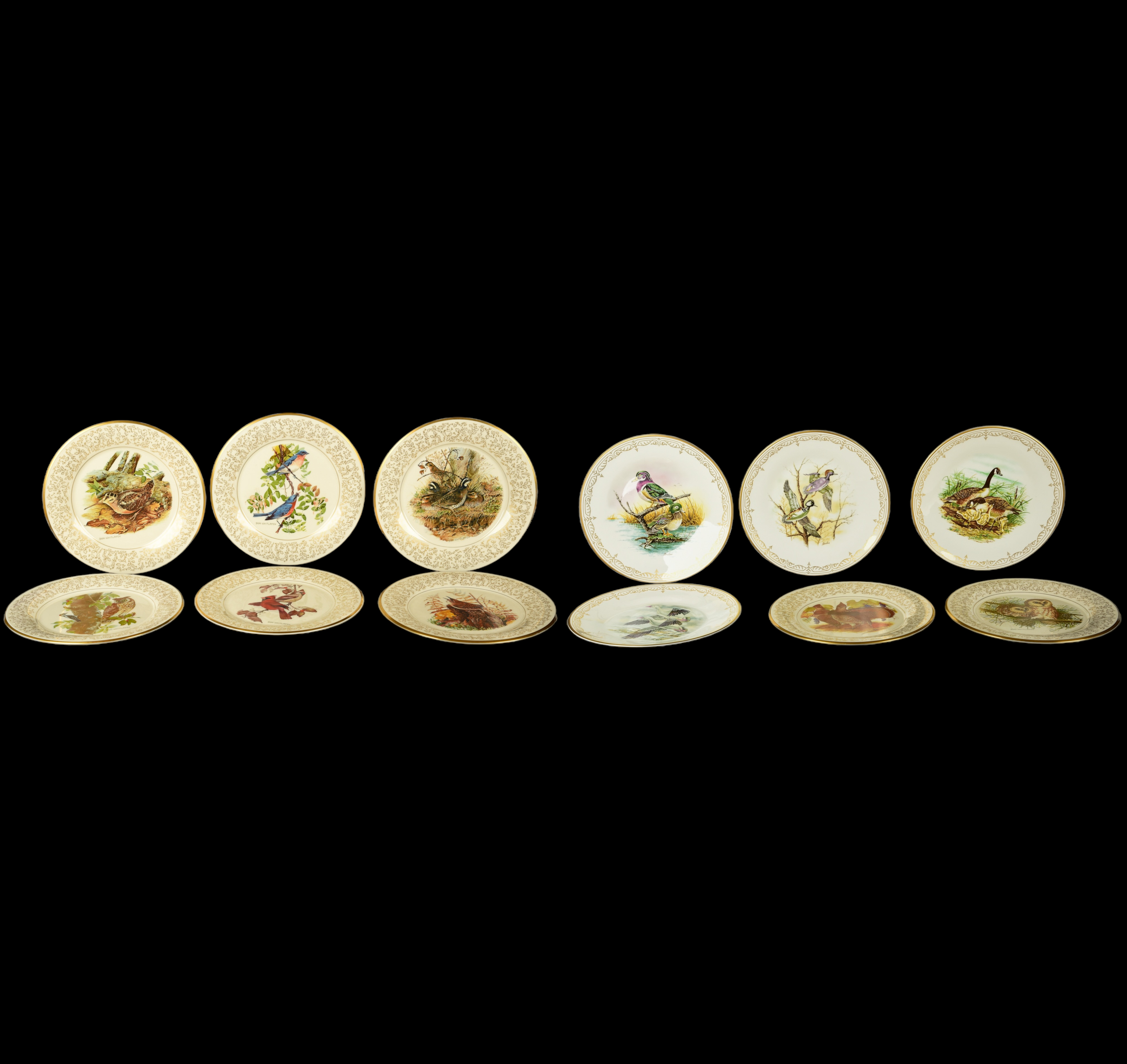  12 Porcelain bird collector plates  3b1979