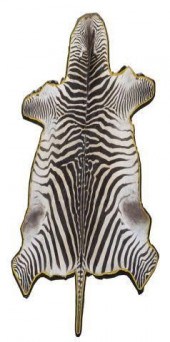 LARGE ZEBRA  HIDE RUG, OVERALL APPROX,