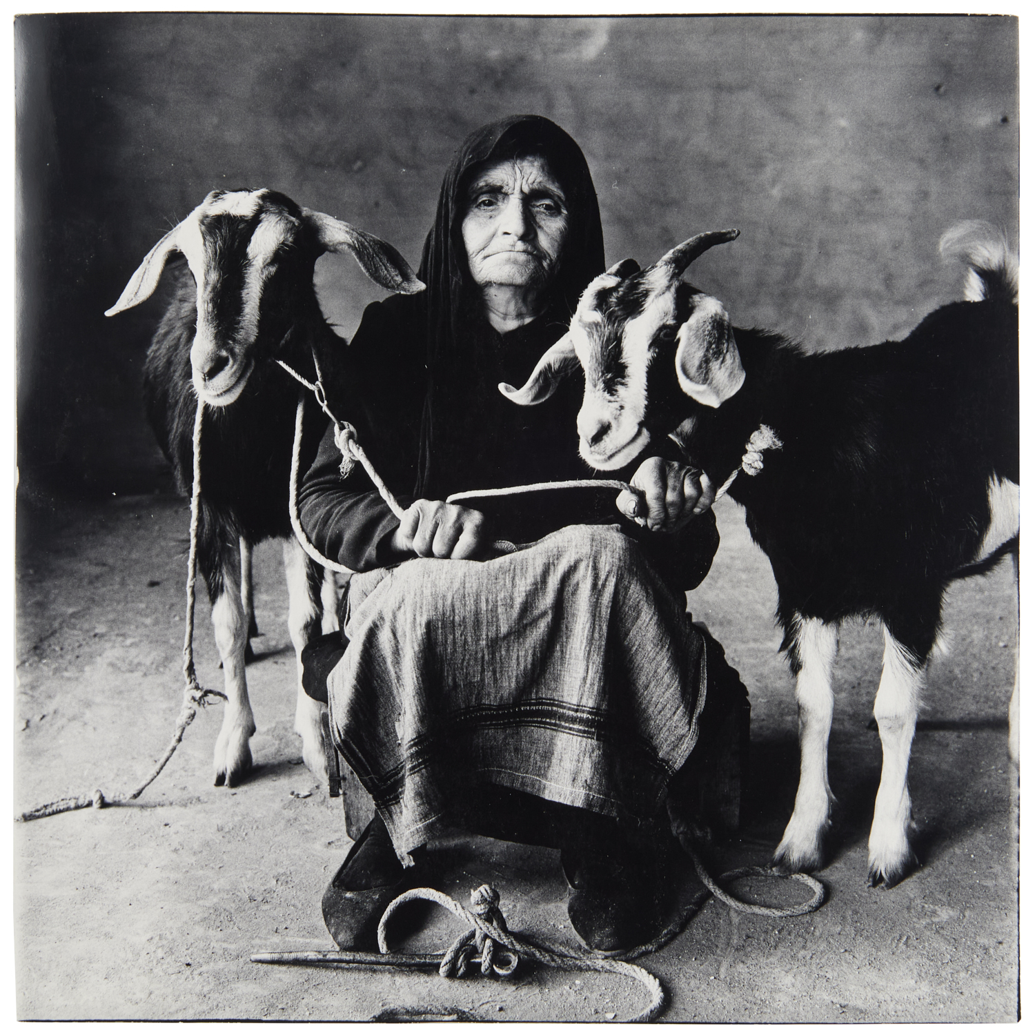 IRVING PENN OLD WOMAN WITH GOATS 3c27f6