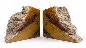 POLISHED PETRIFIED WOOD BOOKENDS, PAIR