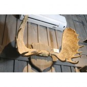 Set of mounted faux moose antlers, approx