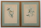 A PAIR OF GOULD & RICHTER ORNITHOLOGICAL