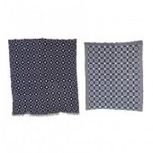 TWO BLUE AND WHITE WOVEN COVERLETS American,