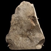 An Egyptian Limestone Ostracon with