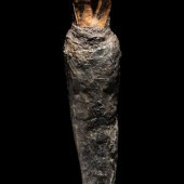 An Egyptian Falcon Mummy
Third Intermediate