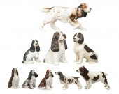 (9) Spaniel dog figurines, including
