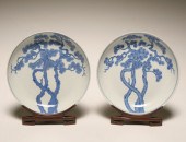 Pair of Chinese Qing dynasty porcelain